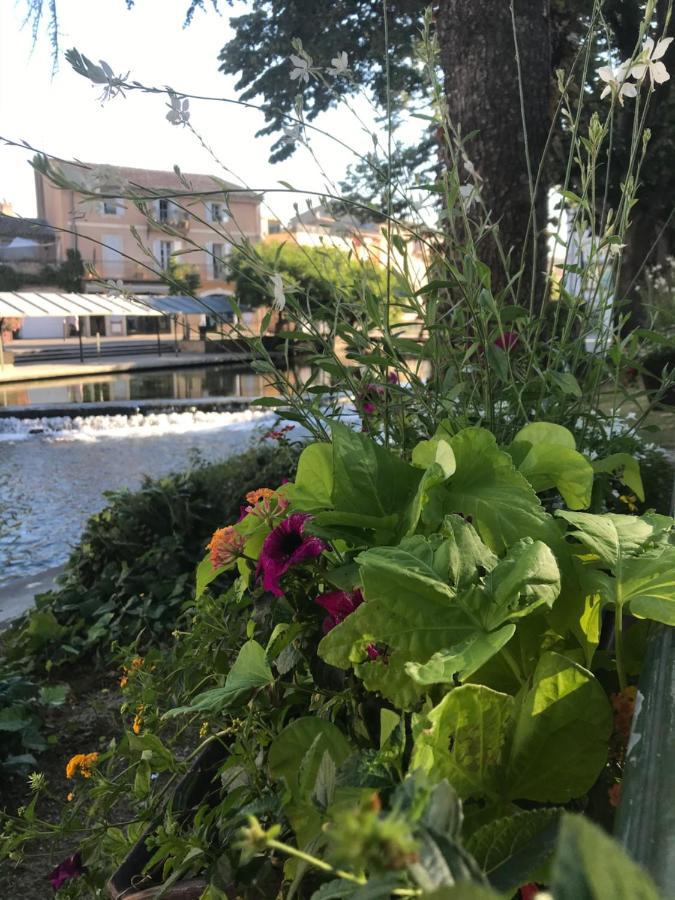 Petit Rêve LʼIsle-sur-la-Sorgue Exterior foto